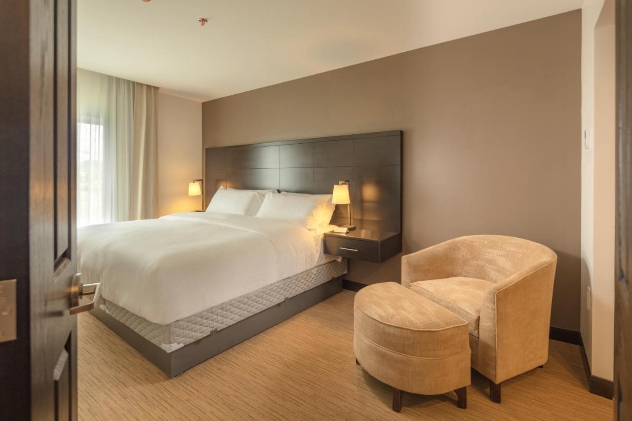 Staybridge Suites - Irapuato By Ihg Zewnętrze zdjęcie
